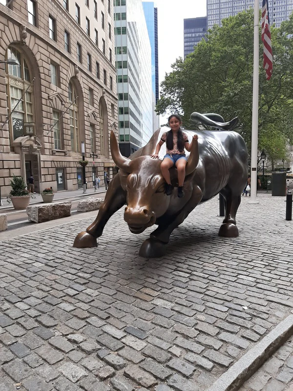 Image representing Charging Bull, New York City